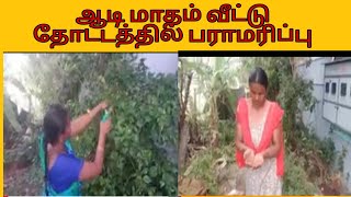 மழை காலத்தில் வீட்டு தோட்டத்தில் பராமரிப்பு மற்றும் விதை நடுதல்| gardening in tamil