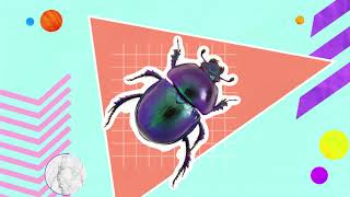 Fun Facts on Coding: What does DEBUGGING mean?