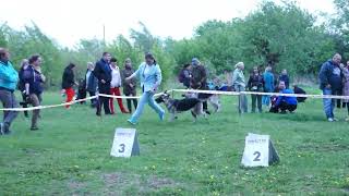 28.05.2022 Моно ВЕО Челябинск Класс промежуточный РА Ласка