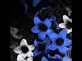 ZERO_1 - Flowers!v2 [2022] Full Album