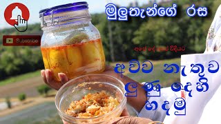 අව්ව නැතුව ලුණු දෙහි හදමු - මුලුතැන්ගේ රස