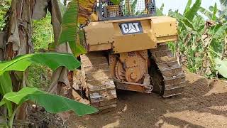 Good job Caterpillar D6R XL bulldozer operator working on widening plantation roads