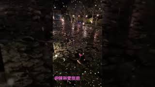 星空下 螢火蟲 蓮花花香撲鼻 台灣也能這麼美