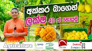 අඹ වගාවෙන් ලක්ෂ 40 උපයමුද? | Smart Agriculture | Ep 02 | Jaya Tv