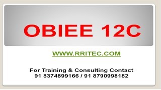 OBIEE 12C Tutorial Part 18 Level Based Hierarchies Part 1