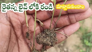 రైతన్న లైవ్ లోకి రండి మాట్లాడుకుందాం#E raithu Telugu Subscribe my channel