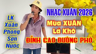 LK Mùa Xuân Lá Khô - Phong Sơn Nước | Nhạc Xuân Đường Phố Hay Nhứt Nách Gây Nghiện Khi Nghe Ngày Tết