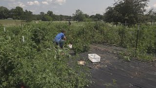 ProMedica grows healthy habits, community at Adrian hospital campus