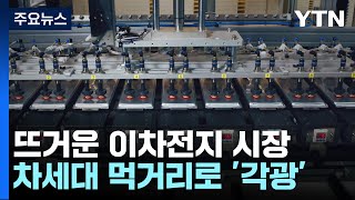 뜨거운 이차전지 시장...속내 복잡한 미래 / YTN