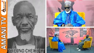 Ferbe Laawol: Vie et I'Oeuvre de Thierno Cheikh Youma Kane ly par Thierno Djibi Niang