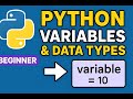 Python Variables and Data Types Explained with Examples | Python Tutorial for Beginners