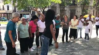 Charming Havana Street Performance: Elderly Choir Delights with 'Lágrimas Negras' 🎶