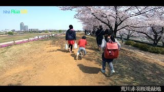 Arakawa Akabane Sakurajutsu green