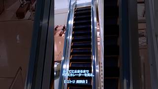 かってに止まるまでエスカレーターを見る。ニトリ 長野店 下り【FUJITEC】#エスカレーター #escalator