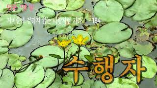 (묘원)불교 방송 5분명상 - 184. 수행자