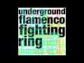 Underground Flamenco Fighting Ring (Preview)