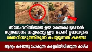 ഉമ്മയുടെ ഖബറിൽ ഈ മകൻ ചെയ്യന്നത് കണ്ടാൽ പൊട്ടിക്കരഞ്ഞു പോകും 😰 | Islamic Facts Network