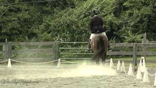 Darcy Miller-Brown on La Vie en Rose, T-2, Md. Dressage at Heavenly Waters, 5/29/2011