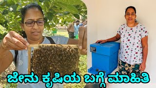 ಜೇನು ಕೃಷಿಯ ಬಗ್ಗೆ ಮಾಹಿತಿ/Honeybee Information #praveenafernandes