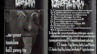 Black Putrefaction - Simulium Hirtipes II