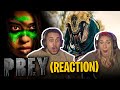 PREY MOVIE REACTION - FIRST TIME WATCHING - REVIEW AND BREAKDOWN OF PREDATOR PREQUEL