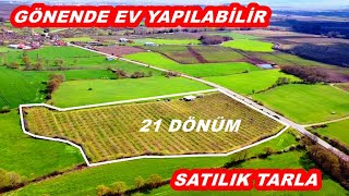 İLÇEYE YAKIN 21 DÖNÜM YETİŞKİN ARMUT TARLASI 11.500.000 TL.