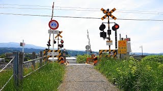 JR 御殿場線【№123】製紙踏切・通過・走行映像　静岡県裾野市久根