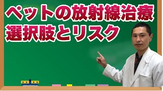 ペットのがん治療における放射線療法：選択肢とリスクの詳細【獣医師解説】