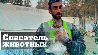 Турецкий волонтер спас из-под завалов более 50 домашних животных