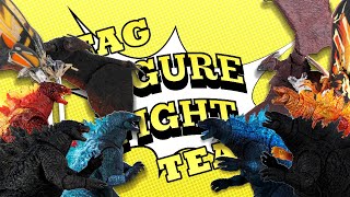 FIGURE FIGHT! King of the Monsters NECA vs S.H. MonsterArts