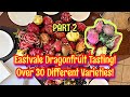 Eastvale Dragonfruit Taste Tests! Over 30 Dragon Fruit Varieties! PART 2