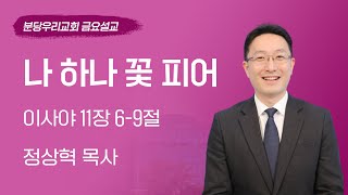 2024-03-15 | 나 하나 꽃 피어 | 정상혁 목사 | 분당우리교회 금요기도회