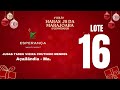 LOTE 16 - URSA DA FAI