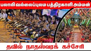 தவில் நாதஸ்வரக் கச்சேரி | பலாலி வல்லைப்புலம் பத்திரகாளி அம்மன் | Eagle Nithu