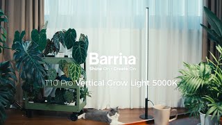 Barrina Tera Series T10 Pro 42W LED Standing Grow Light 4FT-5.6FT 5000K - Flexible \u0026 Steady #barrina