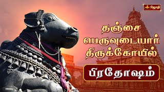 தஞ்சை பெருவுடையார் கோயில் - பிரதோஷம் | Sri Brihadeeswarar Temple | Pradosham | Jothitv