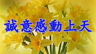 [細説人生] (粵語) - 誠意感動上天。家具店和床墊廠商始終如一的誠信感動許多人。人們說，一定是商家的誠意感動上天，才讓湯姆獲得重生的機會，因為老天爺要獎勵商家那股信守承諾的傻勁。