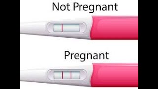 Pregnancy Test kaise kare?? # પ્રેગનન્સી ટેસ્ટ # Pregnancy Test # UPT # Woman Health # Pregnancy