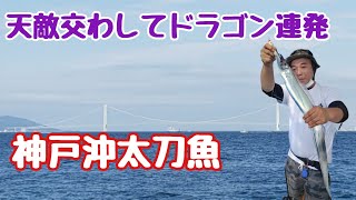 『2021年神戸沖太刀魚を攻略　天敵交わしてドラゴン連発！！！』9月第3週目の神戸沖太刀魚の最新情報をお届けします！今回は天敵クロサバフグを交わしながらドラゴン連発しています！！