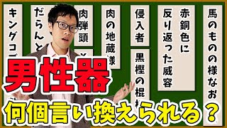 官能小説辞典を読んだら、官能小説みたいな声が出た【官能小説の表現】#130
