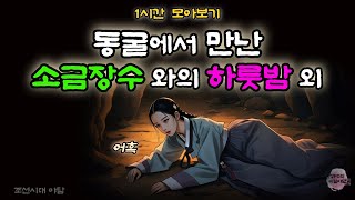 비밀야담 1시간 몰아보기 31 / 야담 / 설화 / 민담 / 전설 / 옛날이야기