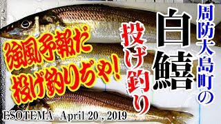 強風予報だ、投げ釣りぢゃ！周防大島のシロギス釣り #002