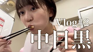 【散歩 Vlog】とろさんぽ #２@中目黒