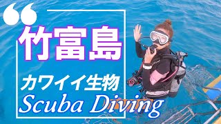 沖縄 石垣島(竹富島 ジャガイモの根)にてスキューバダイビング。GoProとルーペでマクロ撮影。  Scuba diving for in Taketomi Is. Okinawa, Japan