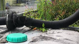McKinley Eco System 2021 Nurture Nature