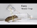 Water Bottle Mouse/Rat Trap || HOW to MAKE MOUSE TRAP using PLASTIC BOTTLE