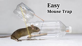 Water Bottle Mouse/Rat Trap || HOW to MAKE MOUSE TRAP using PLASTIC BOTTLE