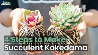 4 Steps to Make Succulent Kokedama | The Next Gardener