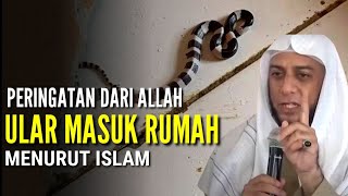 UMAT ISLAM HATI - HATI !! 10 Peringatan Dari Allah Jika Ular Masuk Rumah Menurut Islam