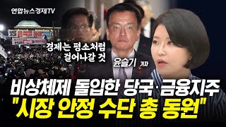 비상계엄부터 탄핵안 폐기까지…금융당국, 리스크 차단에 총력 (윤슬기 연합인포맥스 기자) | 경제ON 취재파일 241210